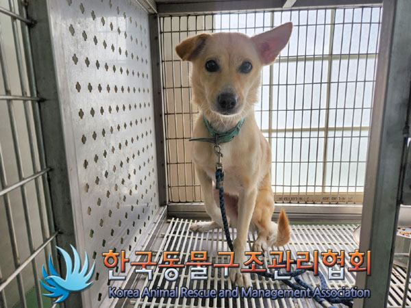 한국동물구조관리협회_411310202300397